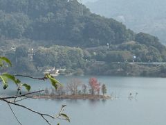 -广州市流溪河国家森林公园