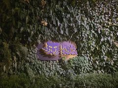 -夜间野生动物园