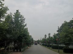 -食家鸽园