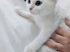 -纳吉亚猫专科动物医院博雅分院