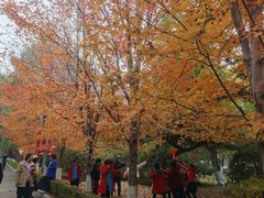 -辽宁大学(崇山校区)