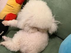 -默迹咖啡馆