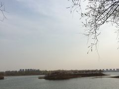 -丁香湖公园
