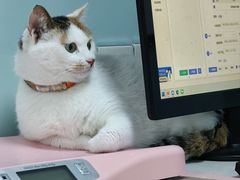 -嘉馨宠物医院·CT影像转诊·心脏科·犬猫全科诊疗中心(下沙大学城院区)