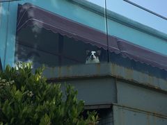 -汪说喵讲宠物乐园宠物酒店(红星美凯龙店)