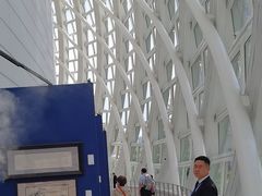 -凤凰中心