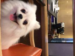 -煲宫(华润万象城店)