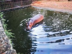 -海南热带野生动植物园