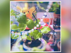 -双季花艺园艺市场(浦东店)