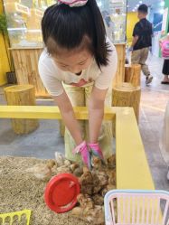-神奇动物撸宠馆·羊驼·小浣熊·异宠(豫园店)