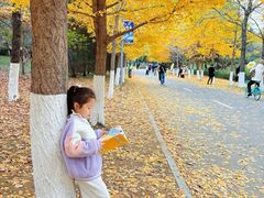 -长白岛森林公园