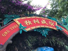 门面-瑞丽独树成林风景区