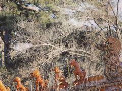 -沈阳市东陵公园
