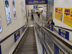 -麦德龙(京顺路商场店)