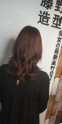 -藤野造型