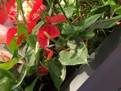 -管氏翅吧(地安门店)