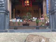 -潜口民宅博物馆