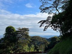 -黄埔油麻山森林公园