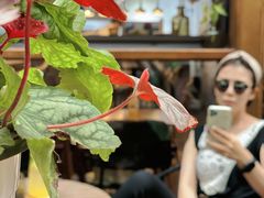 -AFS Cafe & Canteen(闽江二路店)