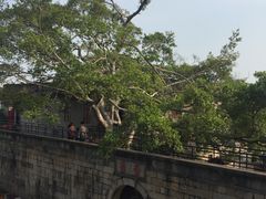 -胡里山炮台