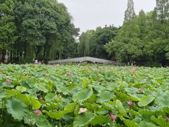 -西南交通大学(九里校区)