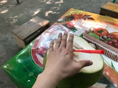 -西双版纳傣族园