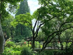 -上海醉白池公园