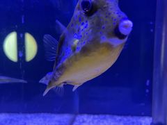 -太平洋海底世界