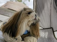 -春花秋色城市公园