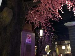 -韵秋荷(宝山龙湖天街店)