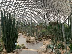 -上海辰山植物园