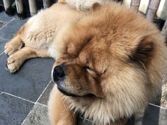 -看见远方·莫干遥远的山民宿