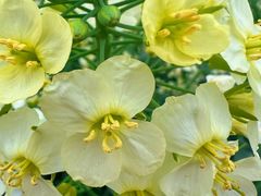 -中国天府农业博览园