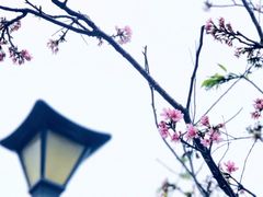 -小南山公园