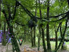 -木兰水镇旅游景区
