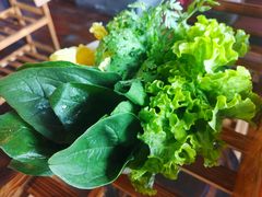 -老诚一锅羊蝎子(黄寺大街店)