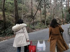 -南岳衡山风景名胜区