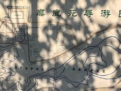 -北京麋鹿生态实验中心