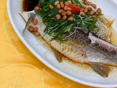 山泉水浸鲩鱼-壹厨(德政中路店)