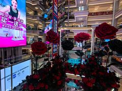 -红星美凯龙北京至尊MALL(东四环中路店)