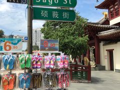 -新加坡佛牙寺龙华院