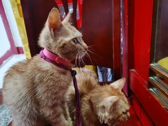 -老丘丘(较场口店)