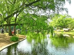 -上海滨江森林公园