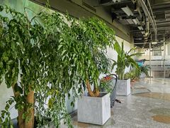 -北京盈之宝宝马&MINI4S店(望京店)
