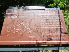 -九曜山