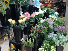 -ChaKo Flora ·茶子花艺 (市北店)