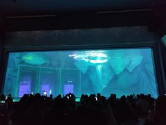 -上海海昌海洋公园-冰山北极馆