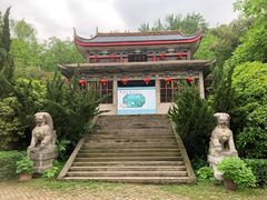 -盛世牡丹苑生态文化旅游区