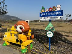 -苏州太湖西山岛开心农场