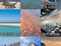 -东辰望海鱼码头·海鲜餐厅